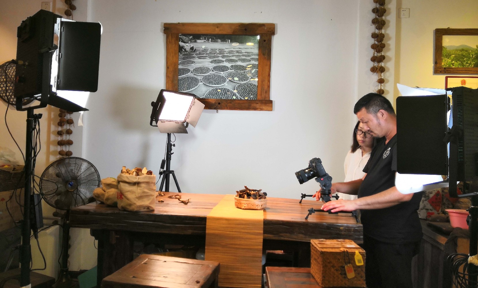 新會葵禾陳皮文化宣傳片